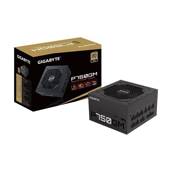 Gigabyte GP-P750GM 750W Full Modular 80 Plus Gold (GP-P750GM)
