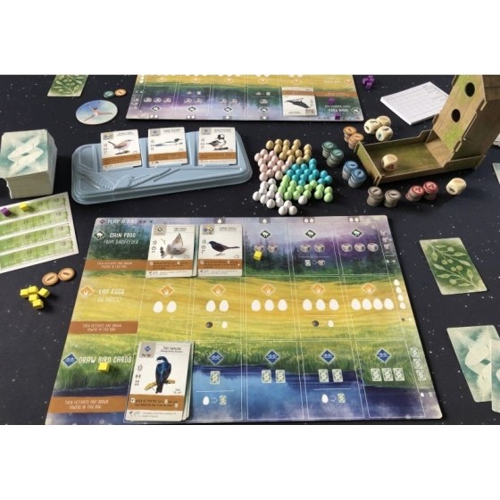 Kaissa Wingspan Άνοιγμα Φτερών