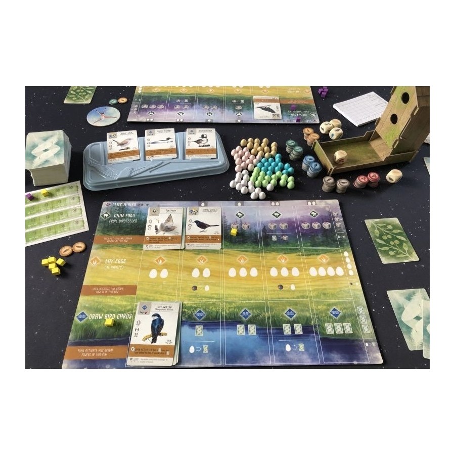 Kaissa Wingspan Άνοιγμα Φτερών