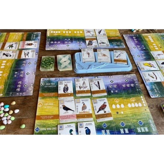 Kaissa Wingspan Άνοιγμα Φτερών