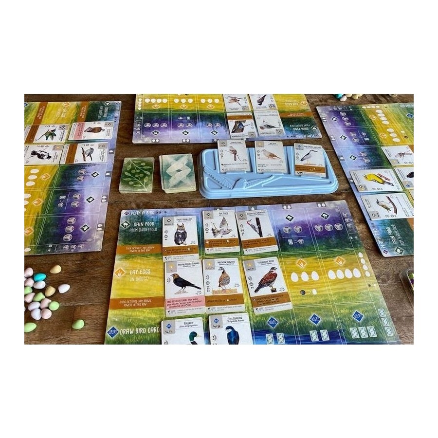 Kaissa Wingspan Άνοιγμα Φτερών