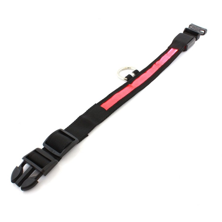Περιλαίμιο σκύλου AG232 με φωτισμό LED, 34-44cm σε διάφορα χρώματα