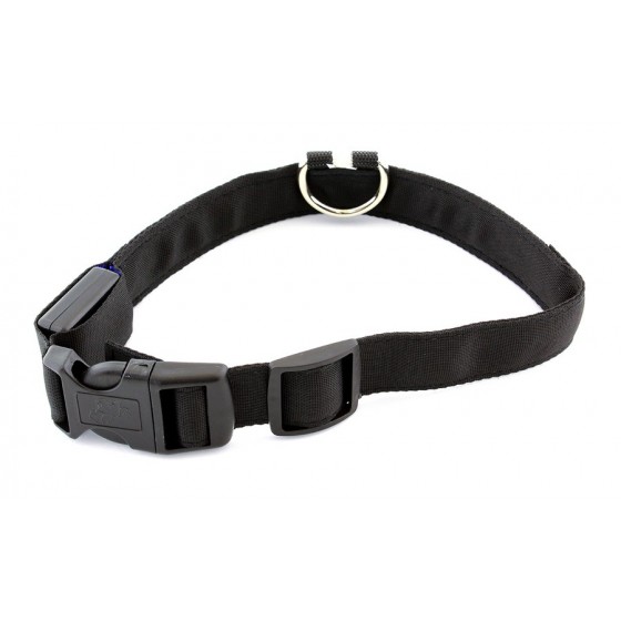 Περιλαίμιο σκύλου AG232 με φωτισμό LED, 34-44cm σε διάφορα χρώματα