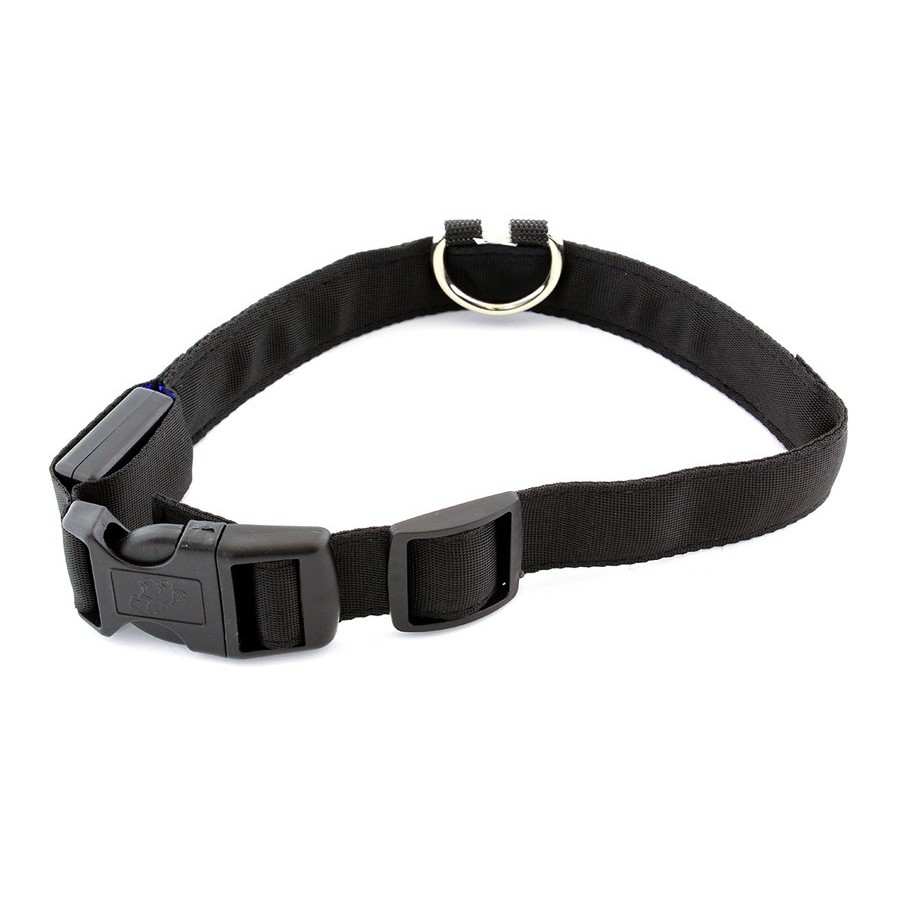 Περιλαίμιο σκύλου AG232 με φωτισμό LED, 34-44cm σε διάφορα χρώματα