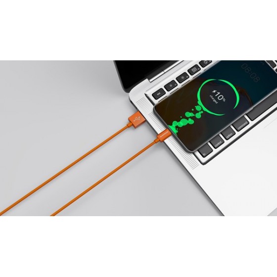 Riversong Lotus 08 USB 2.0 Cable USB-C male - USB-A male Πορτοκαλί 1.2m (CT71O)