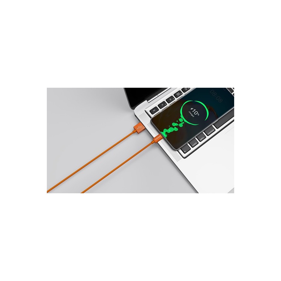 Riversong Lotus 08 USB 2.0 Cable USB-C male - USB-A male Πορτοκαλί 1.2m (CT71O)