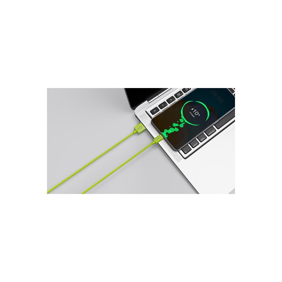 Riversong Lotus 08 USB 2.0 Cable USB-C male - USB-A male Πράσινο 1.2m (CT71G)