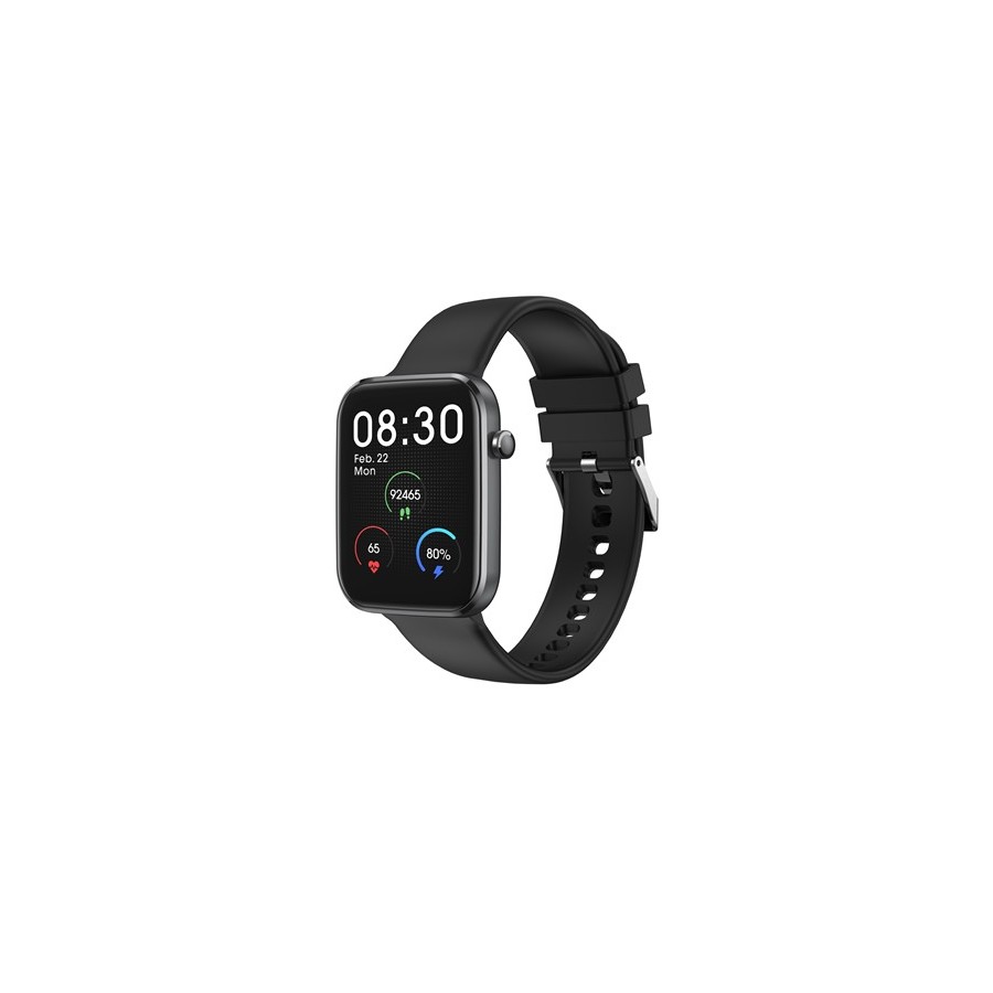 Riversong Smartwatch Motive 5E Space Gray(SW55SP)