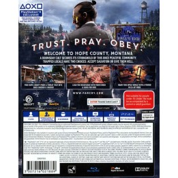 Far Cry 5 - PS4 GAMES