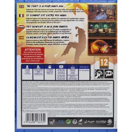 Cobra Kai The Karate Kid Saga Continues PS4 GAMES