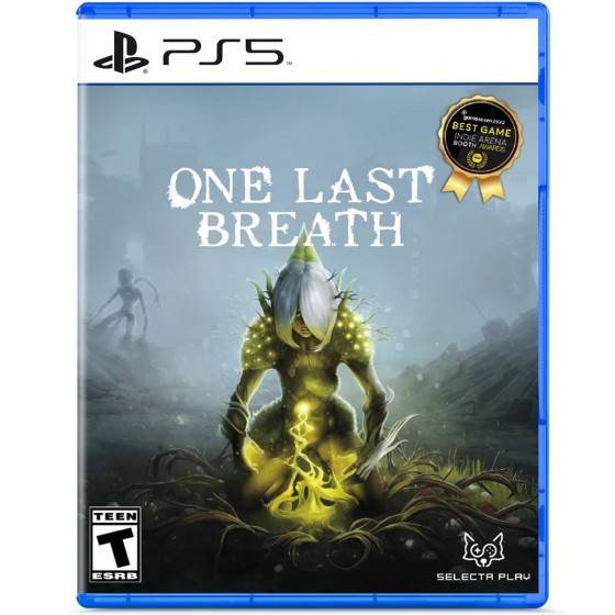One Last Breath PS5 GAMES