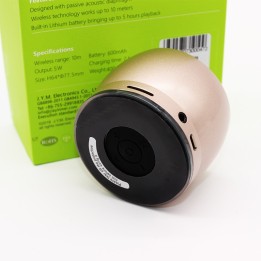 EWA A116 Bluetooth Portable Speaker Bass Metal Material χρώμα χρυσό