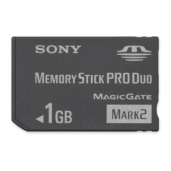 Sony 1 GB Memory Stick PRO Duo Flash Memory Card MSMT1G