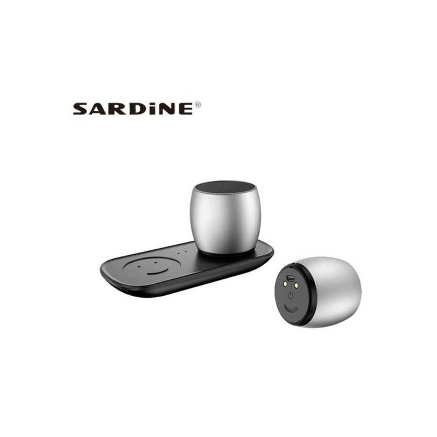 Wireless rechargeable mini speakers Andowl Q1 Bluetooth